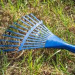 dethatching lawn with rake tool