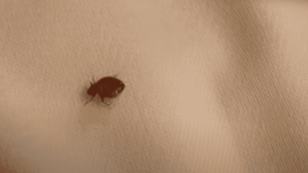 Educational Home Tips