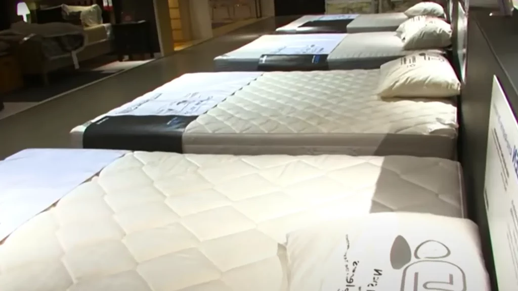 bed bug free mattress